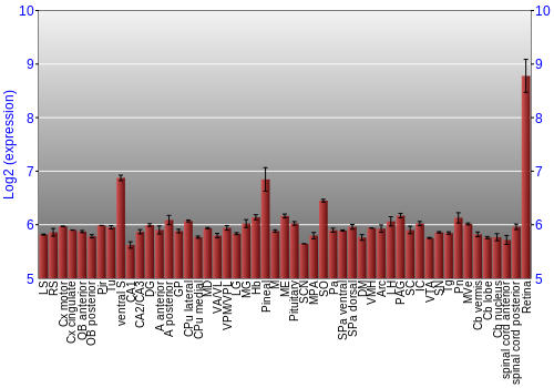 Expression graph