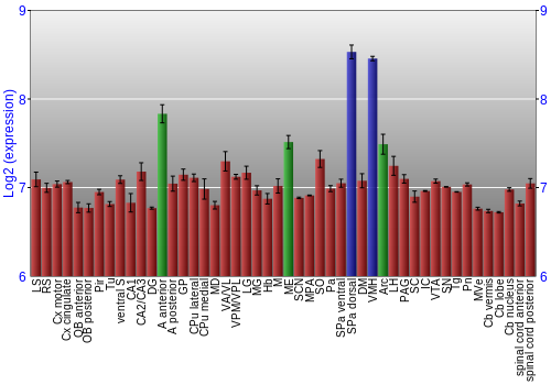 Multi-state expression graph