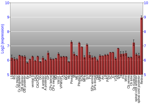 Expression graph