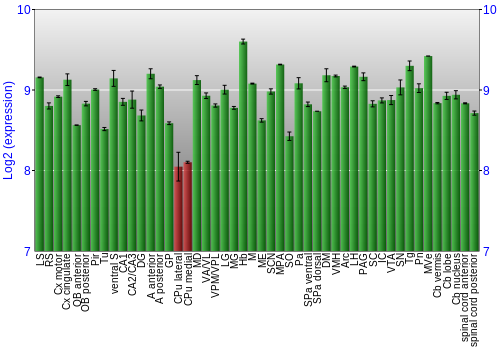 Multi-state expression graph