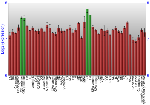 Multi-state expression graph