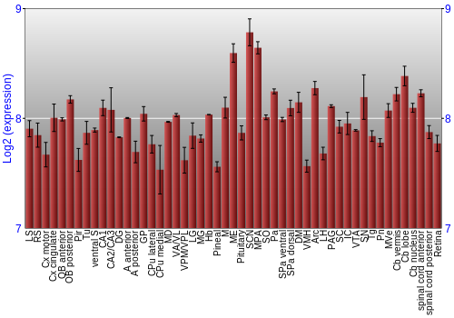 Expression graph