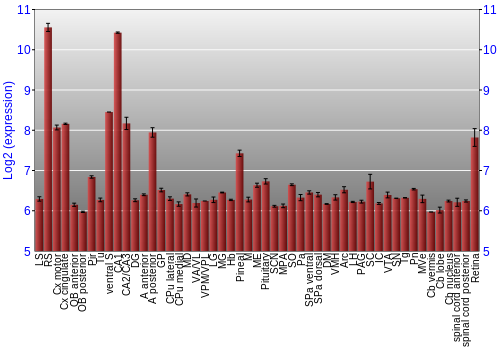 Expression graph