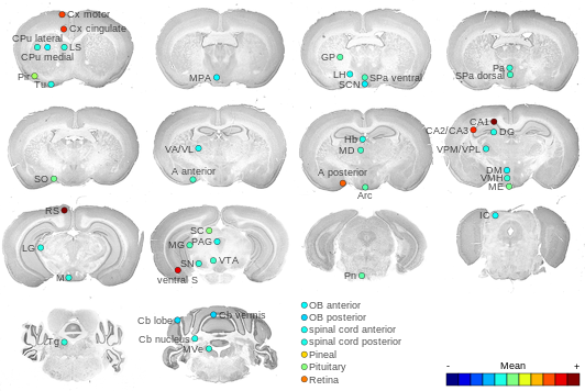 Expression map