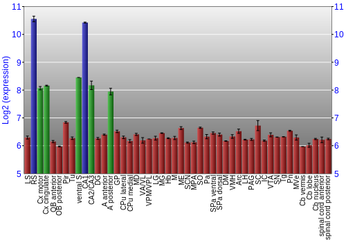 Multi-state expression graph