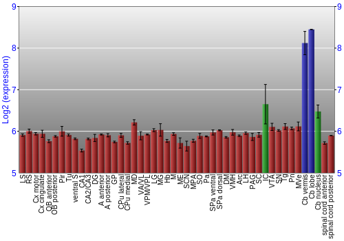 Multi-state expression graph