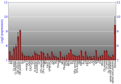Expression graph