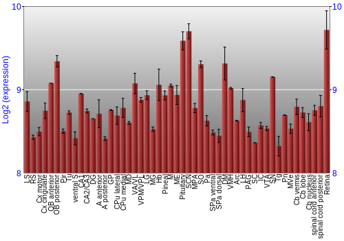 Expression graph