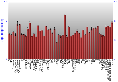 Expression graph