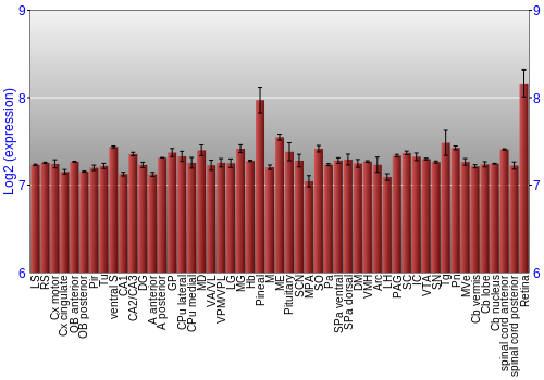 Expression graph