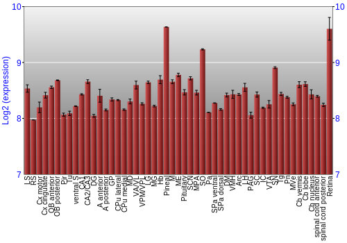 Expression graph