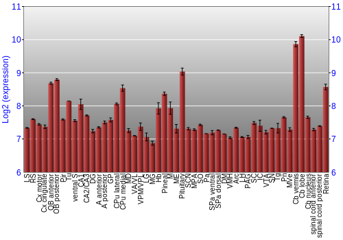 Expression graph