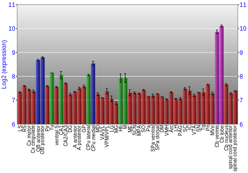 Multi-state expression graph