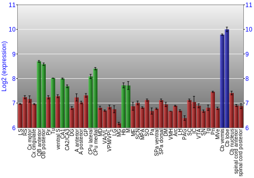 Multi-state expression graph