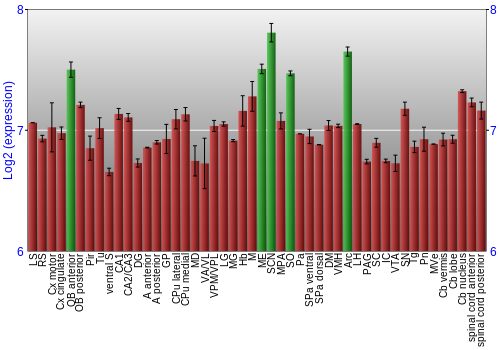 Multi-state expression graph