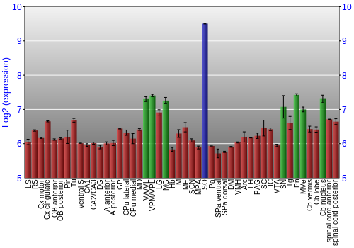 Multi-state expression graph
