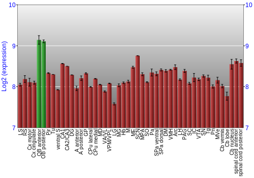 Multi-state expression graph