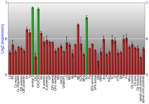 Multi-state expression graph