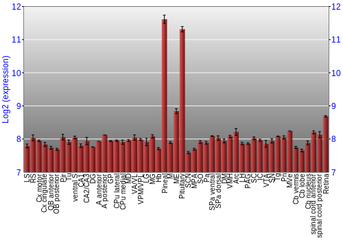 Expression graph