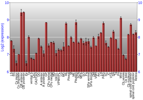 Expression graph