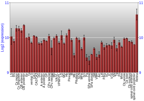 Expression graph