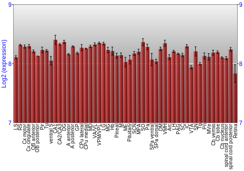 Expression graph