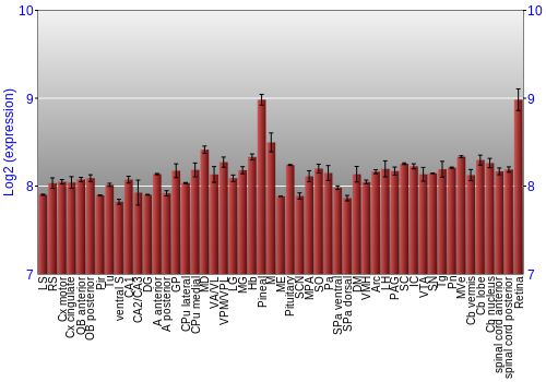Expression graph