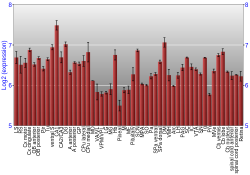 Expression graph