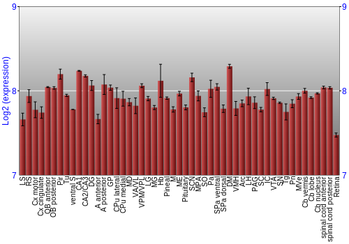 Expression graph
