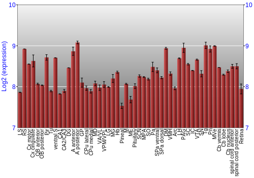 Expression graph