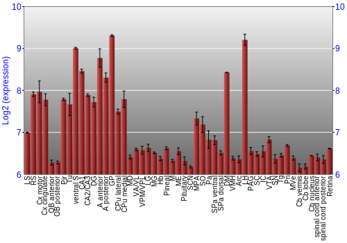 Expression graph