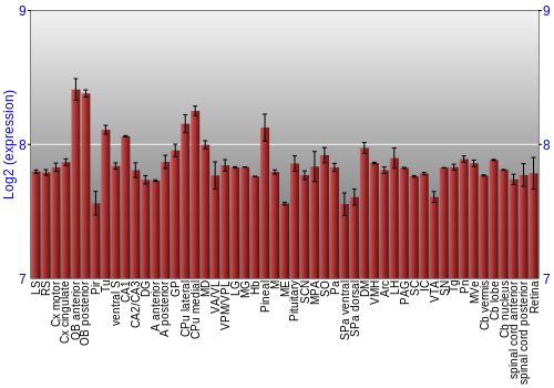 Expression graph