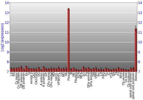Expression graph