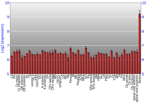 Expression graph