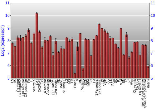Expression graph