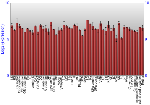 Expression graph