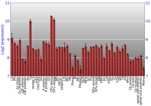 Expression graph