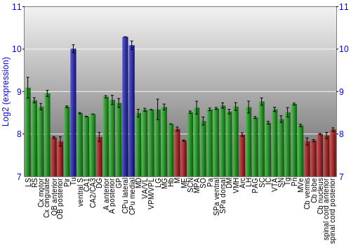 Multi-state expression graph