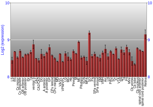 Expression graph