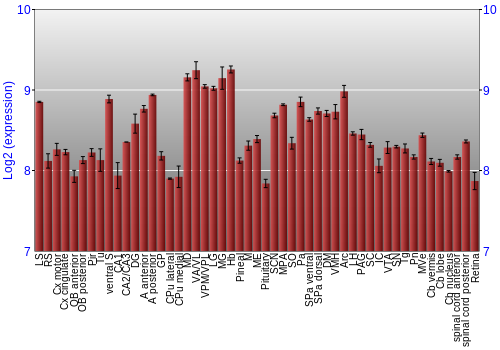 Expression graph