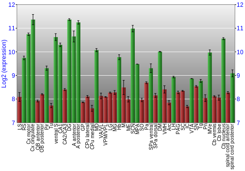 Multi-state expression graph