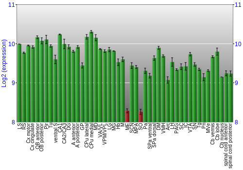Multi-state expression graph
