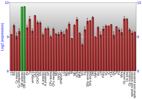 Multi-state expression graph