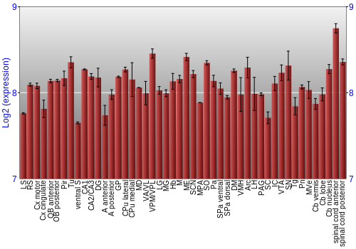 Multi-state expression graph