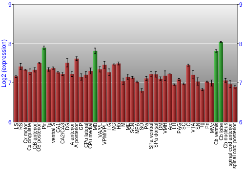 Multi-state expression graph