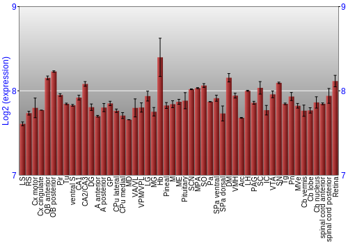 Expression graph