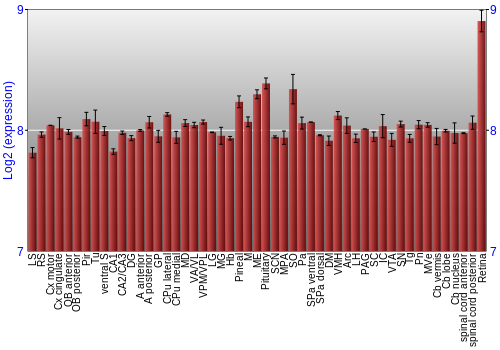 Expression graph