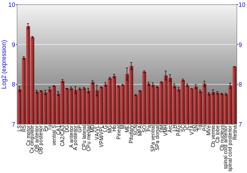 Expression graph