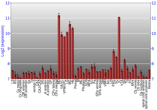 Expression graph
