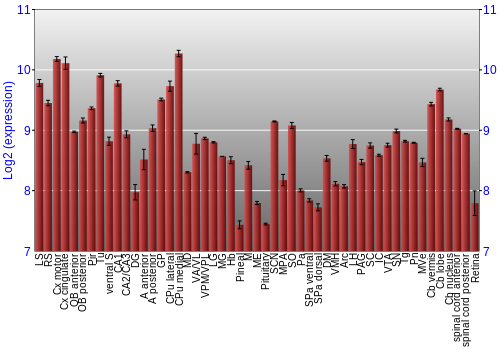 Expression graph